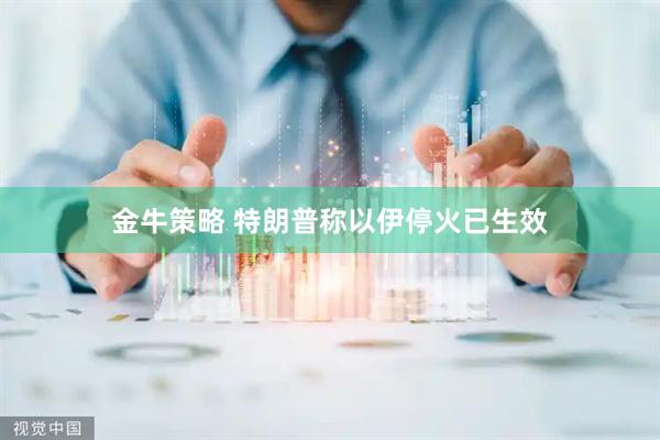 金牛策略 特朗普称以伊停火已生效