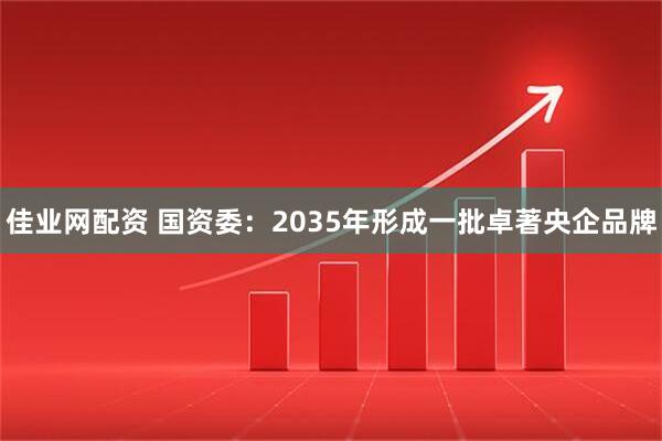 佳业网配资 国资委：2035年形成一批卓著央企品牌