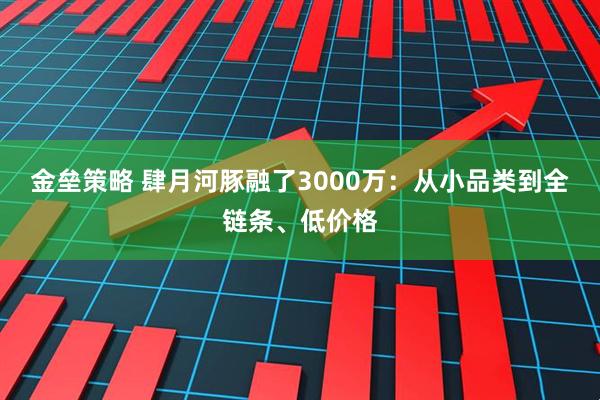金垒策略 肆月河豚融了3000万：从小品类到全链条、低价格
